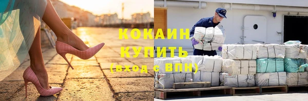ешки Алексин