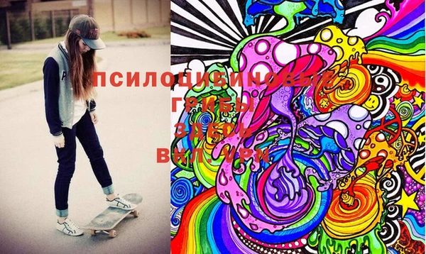 ешки Алексин