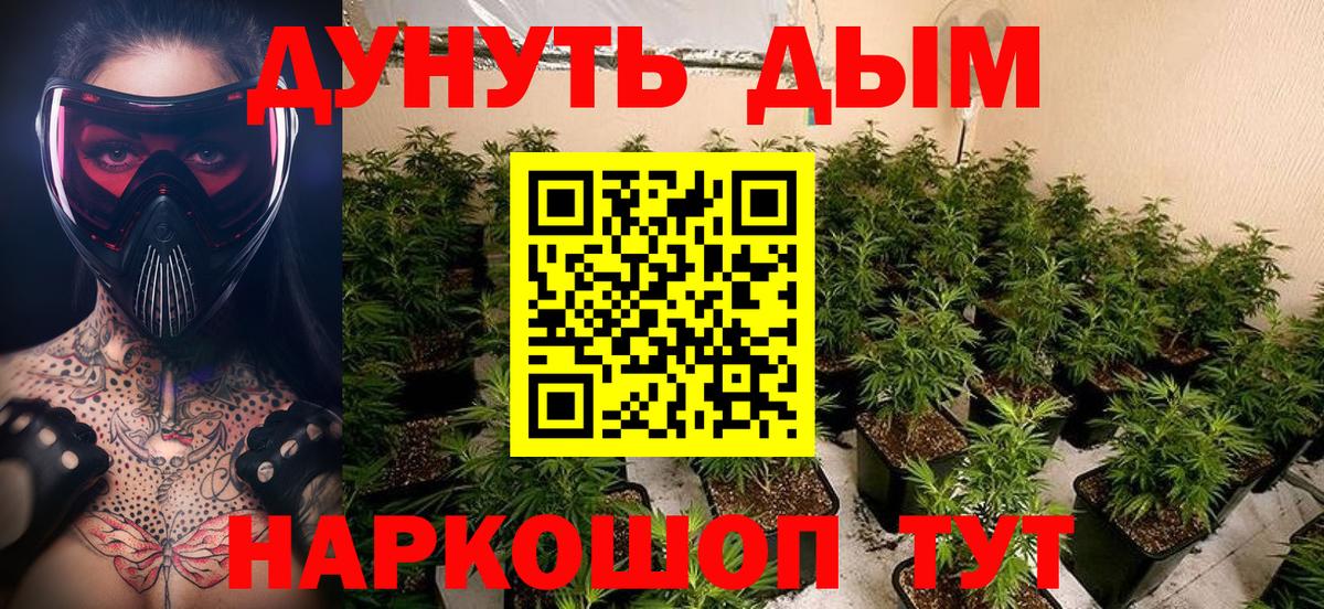Бошки Шишки White Widow  Марихуана гибрид  Орск  Вход с VPN  Бошки марихуана конопля 